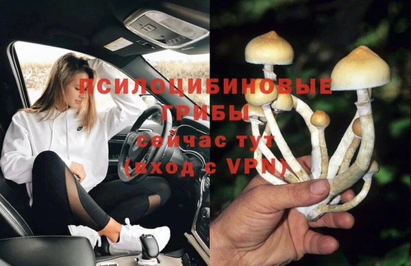 дурь Алексин