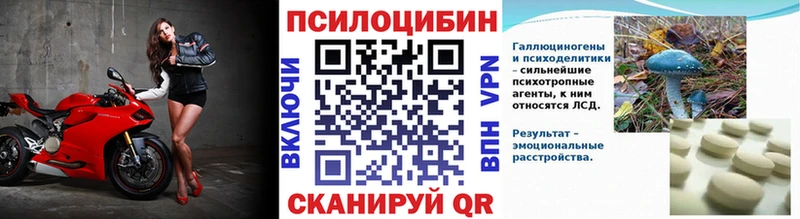 это телеграм  Бодайбо  блэк спрут ссылка  Галлюциногенные грибы MAGIC MUSHROOMS  наркотики 
